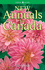 New Annuals for Canada