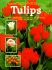 Tulips: the Complete Guide to Selecting and Growing