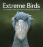 Extreme Birds: the World's Most Extraordinary and Bizarre Birds