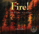 Fire! : the Renewal of a Forest (Information Storybooks)