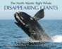 The North Atlantic Right Whale