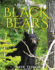 Black Bears: a Natural History