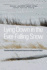 Lying Down in the Ever-Falling Snow: Canadian Health Professionals' Experience of Compassion Fatigue