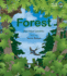 Seetolearn: Forest Format: Hardback