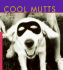 Cool Mutts