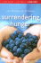 Surrendering Hunger: 365 Devotions for Wholeness