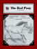 The Red Pony: a Literature Unit (Literature Units Series)
