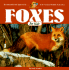 Foxes for Kids