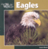 Eagles (Our Wild World)