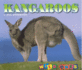 Kangaroos (Wild Ones)