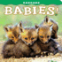 Cascade Babies! (Babies! (Farcountry Press))