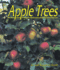 Apple Trees (Plants: Life Cycles)