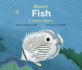 About Fish: a Guide for Children
