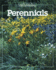 Perennials (Best of Fine Gardening)