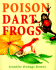 Poison Dart Frogs