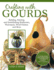 Crafting With Gourds: Building, Painting, and Embellishing Birdhouses, Flowerpots, Wind Chimes, and More (Fox Chapel Publishing) 14 Step-By-Step Projects for Natural, Seasonal Dcor From Lora S. Irish