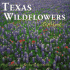 Texas Wildflowers (Texas Littlebooks)