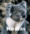 Koalas (Naturebooks)