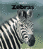 Zebras