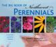 The Big Book of Northwest Perennials: Choosing-Growing-Tending
