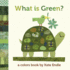What is Green? : a Colors Book By Kate Endle