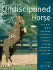 The Undisciplined Horse