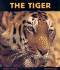 The Tiger: Ferocious Feline (Animal Close-Ups)