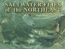 Saltwater Flies of the Northeast