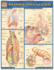 Respiratory System (Quick Study: Academic)