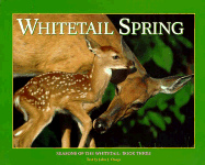 whitetail spring 3 seasons of the whitetail