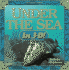 Under the Sea in 3-D [With 3d Glasses]