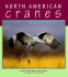 North American Cranes (Nature Watch)