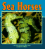 Sea Horses