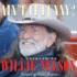 Ain't It Funny? : a Tribute to Willie Nelson