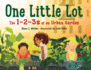 One Little Lot: the 1-2-3s of an Urban Garden