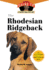 The Rhodesian Ridgeback: an Owner's Guide to a Happy Healthy Pet