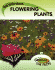 Flowering Plants: the Facts About (Science the Facts)