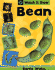 Bean (Watch It Grow)