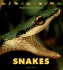 Snakes (the Wild World of Animals)