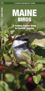 maine birds a folding pocket guide to familiar species