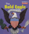 The Bald Eagle