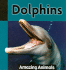 Dolphins (Amazing Animals)