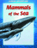 Mammals of the Sea (Junior Adventure)