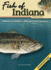 Fish of Indiana Field Guide (Fish Identification Guides)