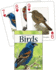 Birds of the Southwest Playing Cards Format: Card Deck