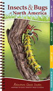 insects and bugs of north america your way to easily identify insects and b