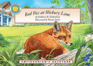 Red Fox at Hickory Lane-a Smithsonian's Backyard Book
