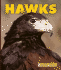 Hawks (New Naturebooks, 1264)