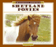 Shetland Ponies (Majestic Horses)