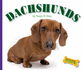 Dachshunds